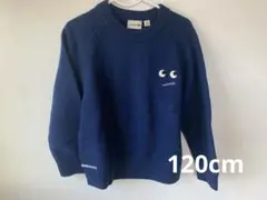 ユニクロ アニヤハインドマーチ ニット