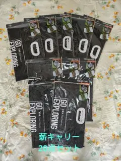 スノーピーク GS-001 FUEL ホワイトガソリン 携行缶（空缶） - メルカリ