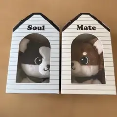 INFINITY MOON登坂広臣ØMI Mate Soulメイト ソウル - メルカリ