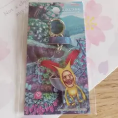 Item thumbnail for item ce210313-63e8-4172-8b8b-adefeab6a71f