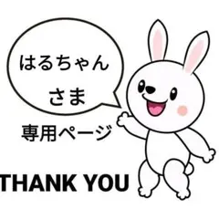 はるちゃん様専用