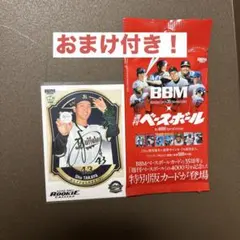 Item thumbnail for item aa5a6a1a-98b0-4554-b356-8bb873a7cf3a