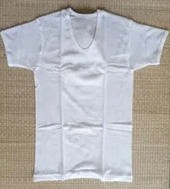 Item thumbnail for item 36a8ee4f-5f96-4cd2-8cb4-c5c04d175bcc