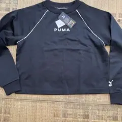 Item thumbnail for item 8dd55d48-bf39-4b40-84b6-1b33fd3ec8ed