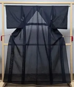 A◆着物くつろぎ 夏大島紬 風景模様 紺色 訪問着 正絹 薄物 絽 紗 着物のサムネイル