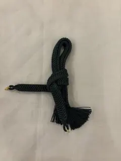 Item thumbnail for item 0057f84b-4f6d-4118-aa55-310c37ea034f