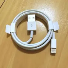 Item thumbnail for item e66c7f2f-3fb8-4a81-ad20-9d0230feba04