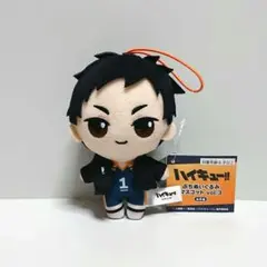 2026年最新】澤村大地 ぬいぐるみの人気アイテム - メルカリ