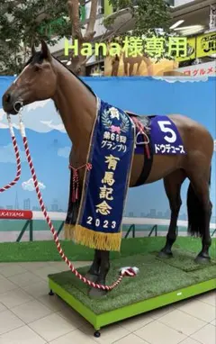 Hana様専用