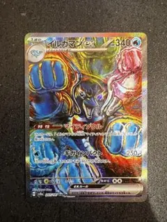 イルカマンex sar 207/187 sv8a テラスタルフェス ポケカ