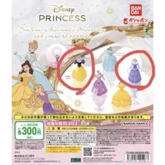 ディズニープリンセス コスチューム めじるしアクセサリー - メルカリ