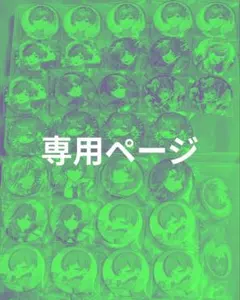 わた雨様専用ページ