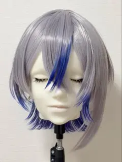 どんちゃん様 ウィッグオーダー 確認用