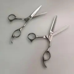 ウィッグ用スキバサミ Assist 2本セットのサムネイル