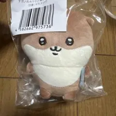 ナガノのカワウソ ぬいぐるみくじ D賞 マスコット