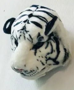 Item thumbnail for item 2d082df9-067b-4008-a806-9391faa30880