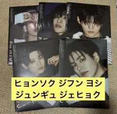 TREASURE LOVE PULSE SPORTY アルバム 5枚