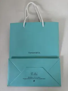 Tiffany & Co. ショップ袋 ショッパーのサムネイル