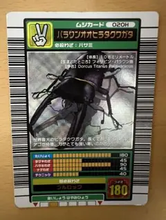 ムシキング　2003秋　【状態悪い】パラワンオオヒラタクワガタ