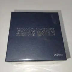 エヴァンゲリオン 渚カヲル展 DSSチョーカー風リング アクセサリー リング