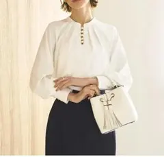 ルイルエブティック スリットパールスタンドカラー ブラウス 新品 大きいサイズ