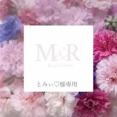 かすみ草ドライフラワー