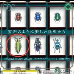 2025年最新】ドイツ箱 標本箱の人気アイテム - メルカリ