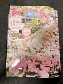 ゼクシィ特大号 2025年10月号 付録のみ　マルチケース　ミッフィー