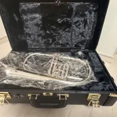 Item thumbnail for item 328544cf-c392-47e2-809d-c5bb9f306159