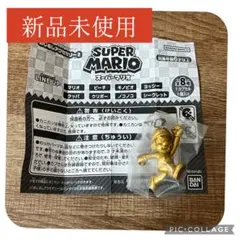 신품 미사용 スーパーマリオ めじるしアクセサリー2 シークレット