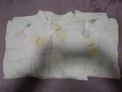 Item thumbnail for item a3d2ac35-9f1e-4e2b-8657-b988b40447ad