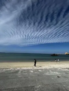 【美品✨】PURPLE BRAND スキニーデニム ブラック 新品タグ付き 30