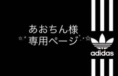 あおちん様専用ページ✩.*