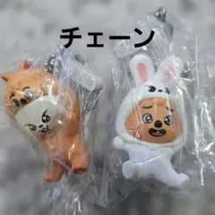 StrayKids スキズ skzooガチャ つまんで リビット クオッカ