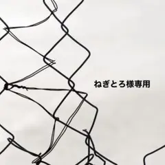 Item thumbnail for item 87702adf-d303-4e0f-9c05-0543a551a8f1