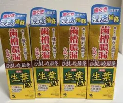 maruman マルマンノコギリヤシエキス 60粒 4個✖賞味期限2026年12 