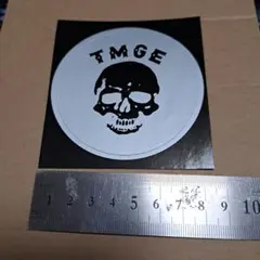 未使用品】ミッシェルガンエレファント 30th ステッカー9枚セット TMGE