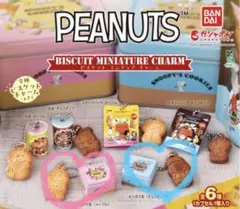 PEANUTS ビスケットミニチュアチャーム エンボス缶2個セット