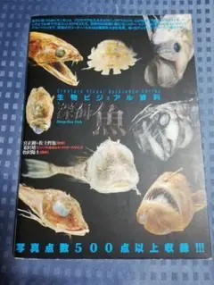 深海魚 ビジュアル資料 500点以上