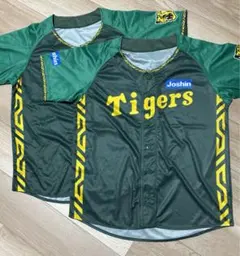 Item thumbnail for item aa80fc7f-37a4-4bb2-814f-02608a4e5b48