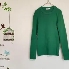 RAMIRAL /グリーン リブ編み 長袖ニット クルーネック 38