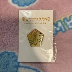 嵐のワクワク学校　ピンバッジ