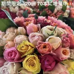 短め‼︎バラ 《切り花 生花 》おまかせMIX　20㎝ 70本　産地直送❗️鮮度抜群のサムネイル