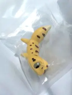 レオパード ゲッコウ