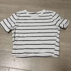 ZARA Sサイズ　ボーダー　ミニ半袖Tシャツのサムネイル