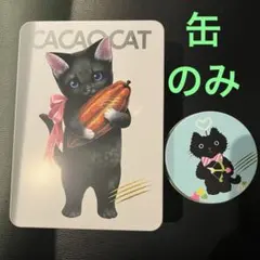 CACAOCAT チョコレート　カカオキャット　缶　空き缶　空き箱