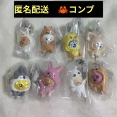 SKZOO つまんでつなげてますこっと vol2 スキズ　コンプ　カニカン