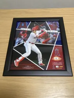 ！値下げ！2023WBCダブルフォトミント 投手大谷 打者大谷 Amazon.co.jp: 大谷翔平 2023 WBC 投手 打者 ダブルコインフォト