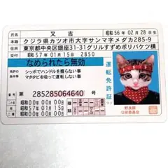 なめ猫　免許証風カード　又吉　希少　レア　レトロ　当時物