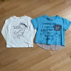 恐竜　ロンT Tシャツ　2枚セット